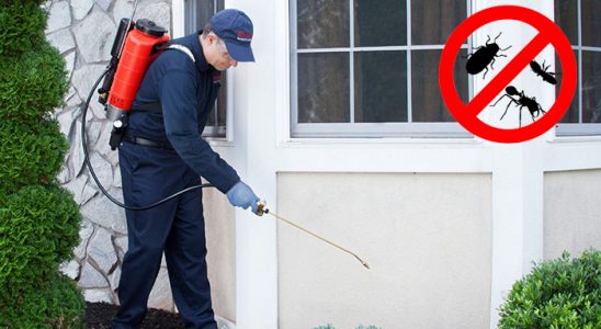Babadağ Hamam Böceği İlaçlama böcek ilaçlama ve haşere kontrolü — ilaclama-tr.com
